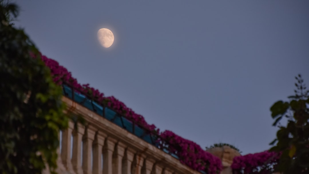 Sunday breath circle